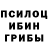 Псилоцибиновые грибы мухоморы Oleg Kono