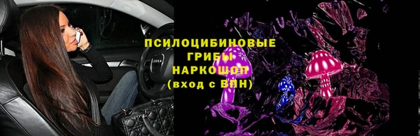 гидра Гусиноозёрск