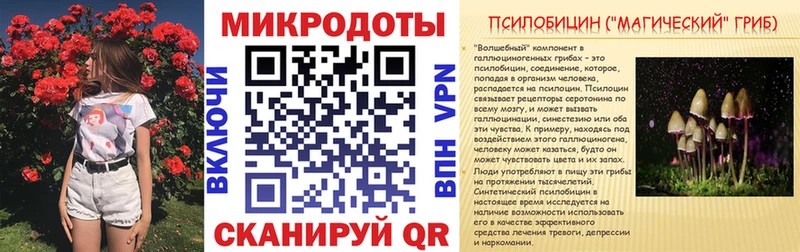 Купить закладки  Усть-Катав  Псилоцибиновые грибы Cubensis 